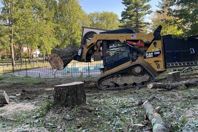 TREE SERVICE